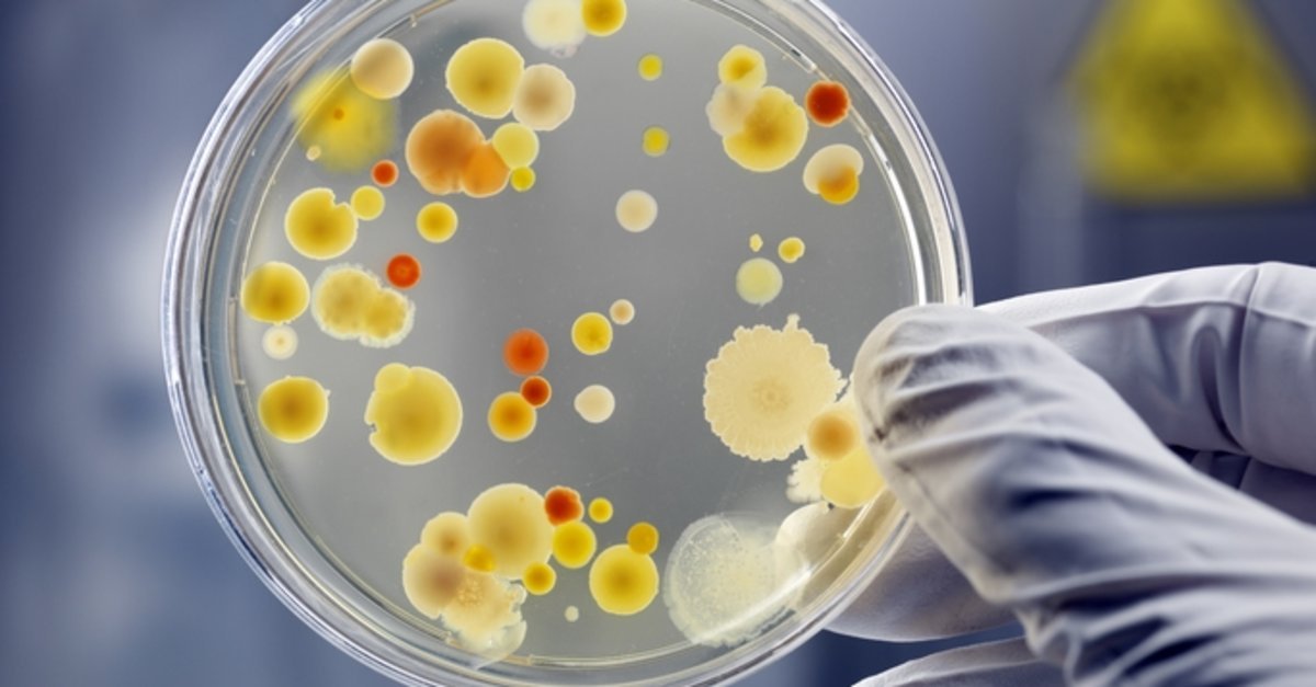 Bütüncül ve Fonksiyonel Tıp Hekimi Prof. Dr. Murat Hökelek konu