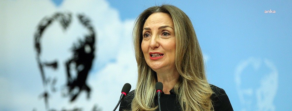 CHP Kadın Kolları Genel Başkanı Aylin Nazlıaka, Kadın Kolları MYK