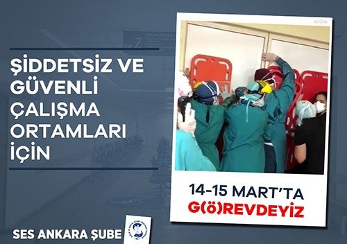 Sağlık ve Sosyal Hizmet Emekçileri Sendikası (SES) Ankara Şubesi, hekimler