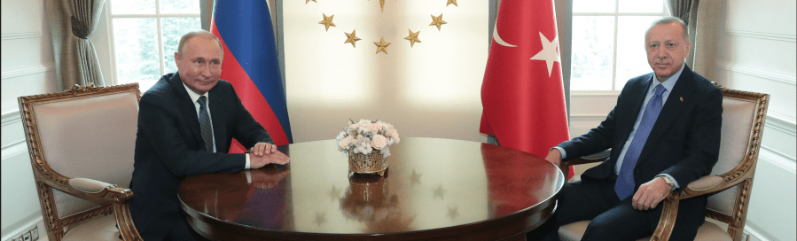 Cumhurbaşkanı Recep Tayyip Erdoğan, Rusya Devlet Başkanı Vladimir Putin ile