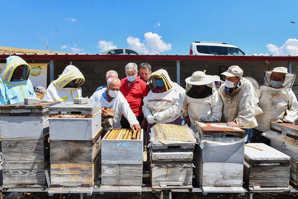 Ankara Büyükşehir Belediyesi, Başkent’te arıcılığın gelişmesi, yaygınlaştırılması ve artırılması amacıyla ücretsiz arıcılık