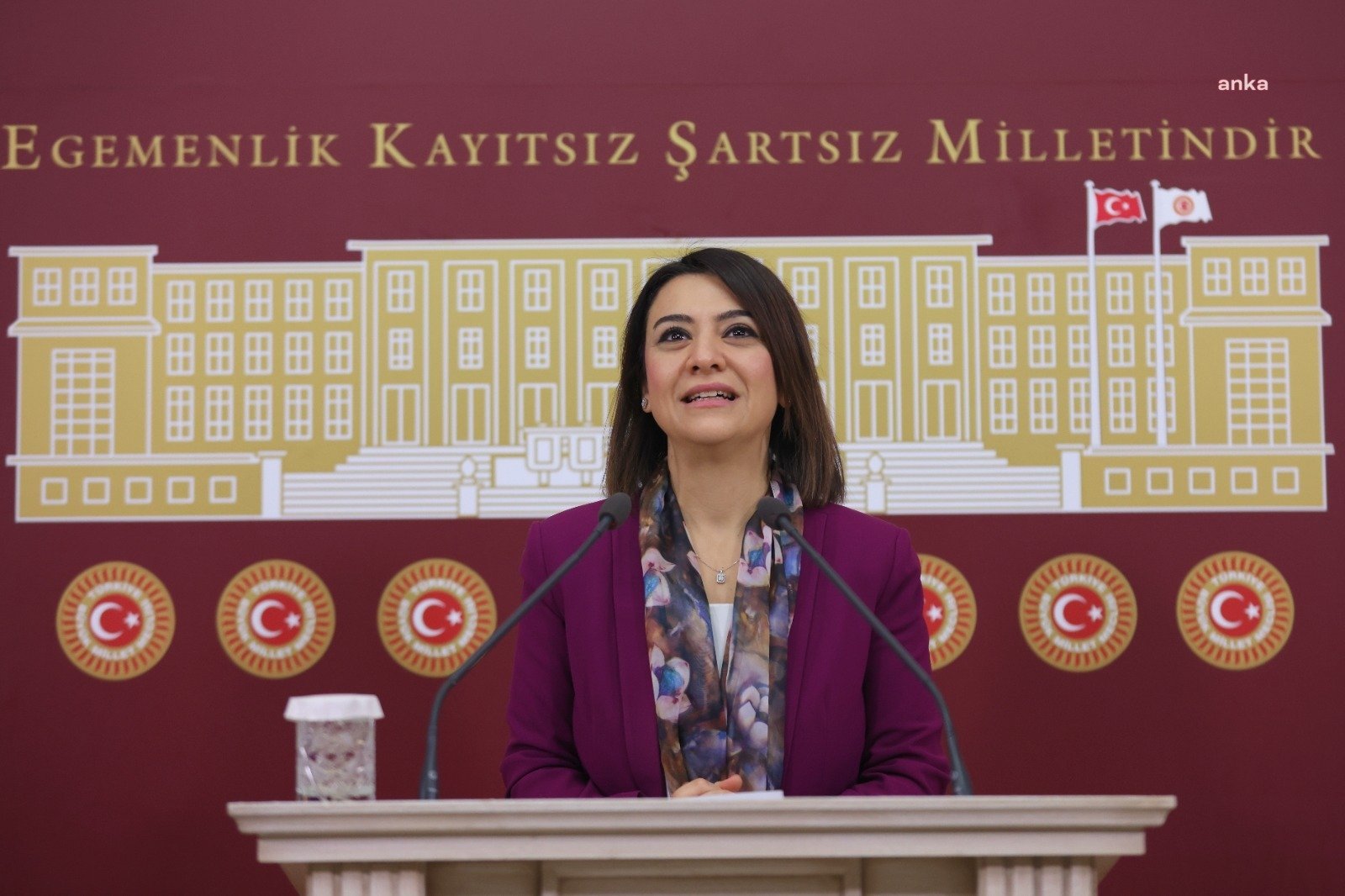 CHP Ankara Milletvekili ve TBMM Kadın-Erkek Fırsat Eşitliği Komisyonu Üyesi
