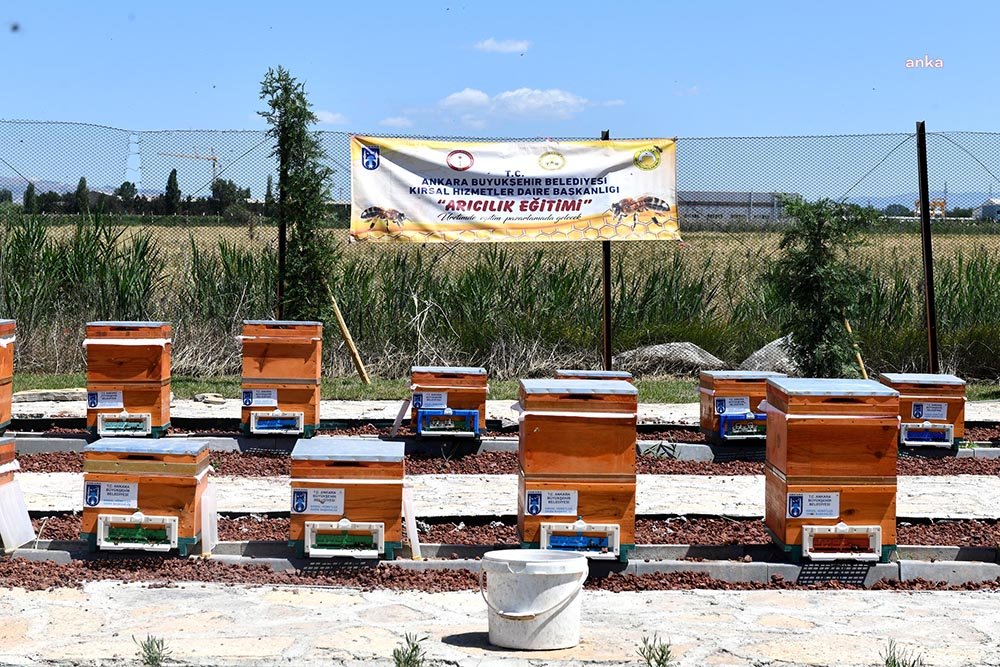 Ankara Büyükşehir Belediyesi, Başkent’te arıcılığın geliştirilmesi, yaygınlaştırılması ve markalaşması için
