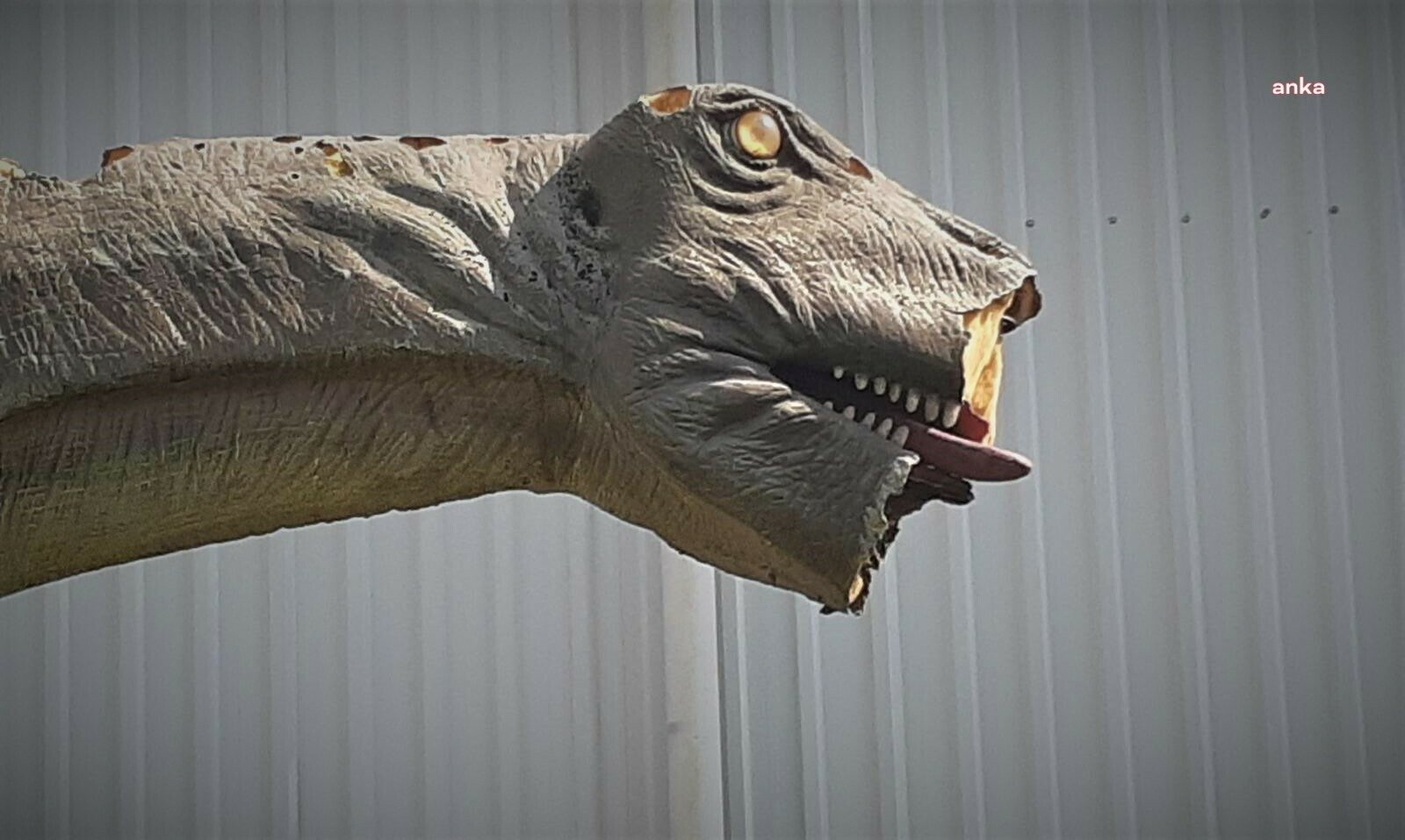 Ankara Büyükşehir Belediye Başkanı Mansur Yavaş, 4 yurttaşın yaşamını yitirdiği