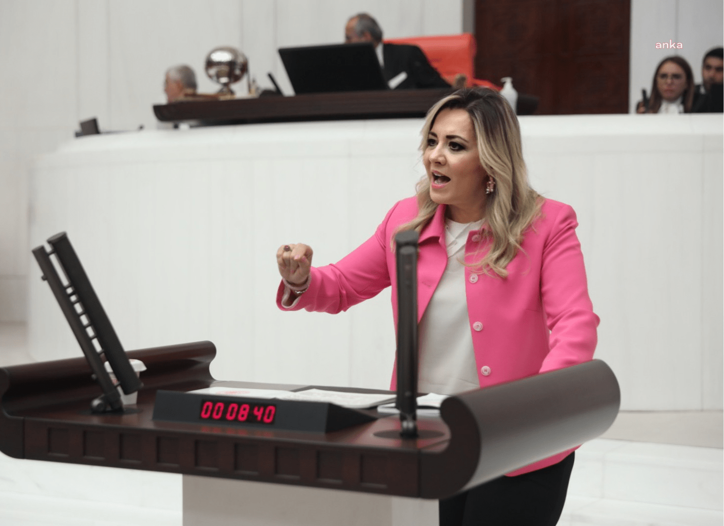 İYİ Parti Isparta Milletvekili Aylin Cesur, TBMM Genel Kurulu’nda sağlık