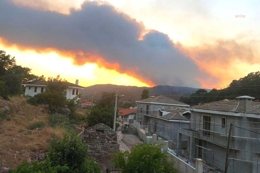 Türk Tabipleri Birliği (TTB), orman yangınları ile ilgili “Yetkilileri bilime