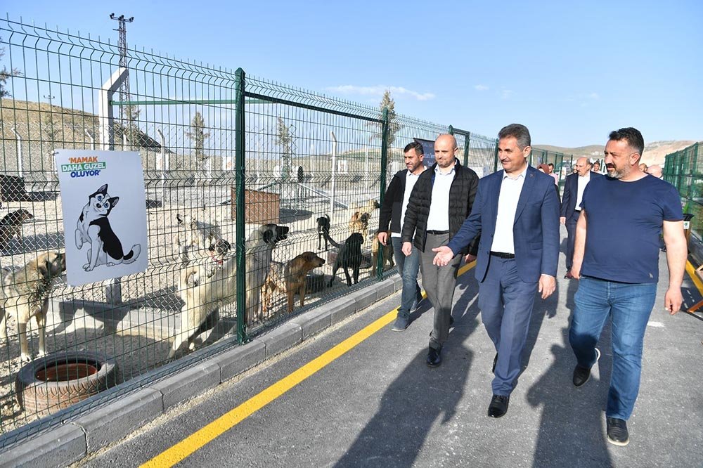 Mamak Belediyesi, her canlının iyi bir yaşam hakkına sahip olduğu