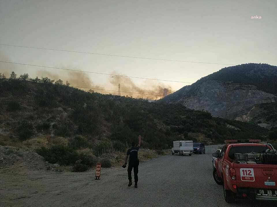 Söke'de çıkan ve 50 hektardan fazla arazinin yanmasına neden olan