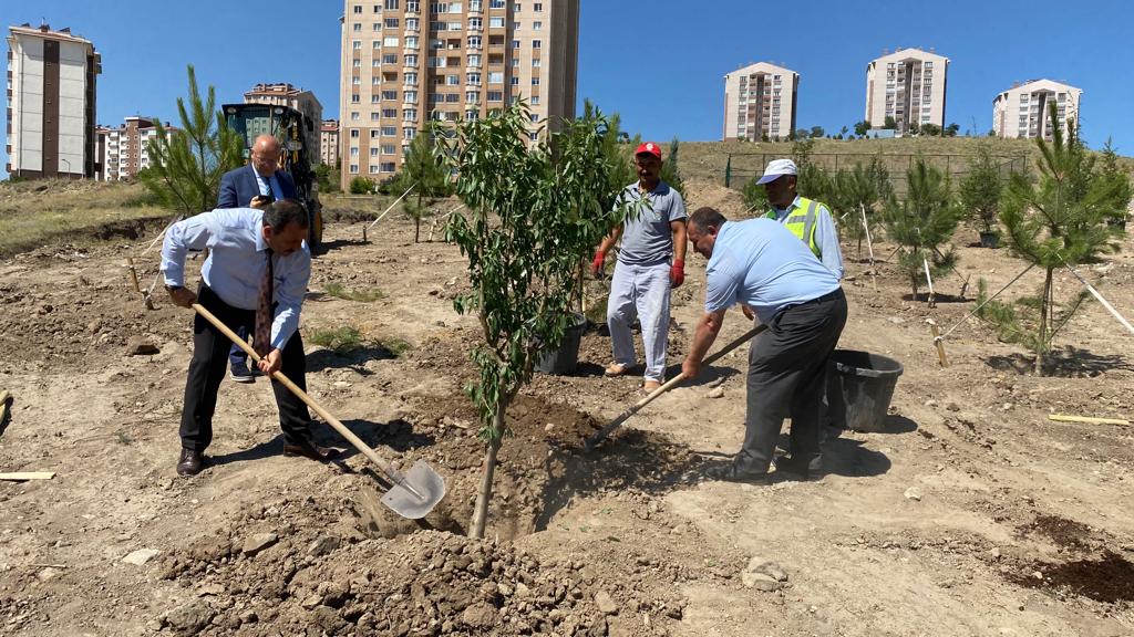 Etimesgut Belediyesi ilçeye 7 park daha kazandırıyor. Belediye mühendislerinin projelendirdiği
