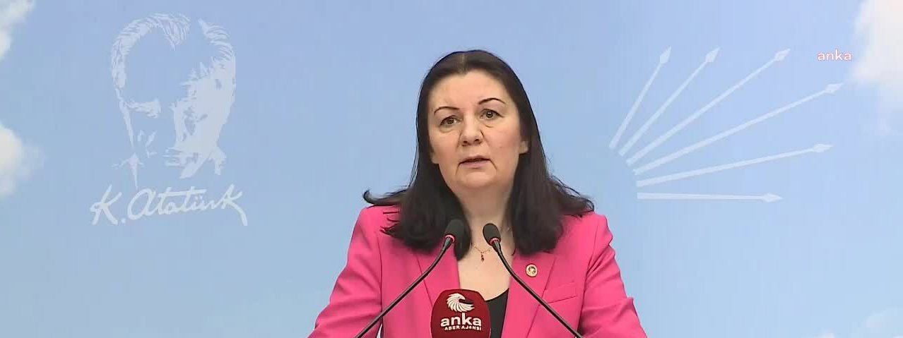 CHP’nin eğitim politikalarından sorumlu Genel Başkan Yardımcısı Lale Karabıyık, Kredi