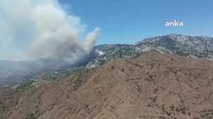 Muğla Datça’da Orman Yangını Çıktı, Havadan ve Karadan Müdahale Sürüyor Muğla’nın Datça İlçesinde ormanlık alanda yangın çıktı. Datça’ya bağlı Mesudiye