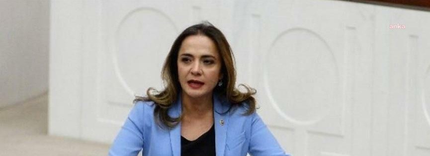 CHP Genel Başkan Yardımcısı Gamze Akkuş İlgezdi’nin hazırladığı ‘Diploma-İş Denklemi