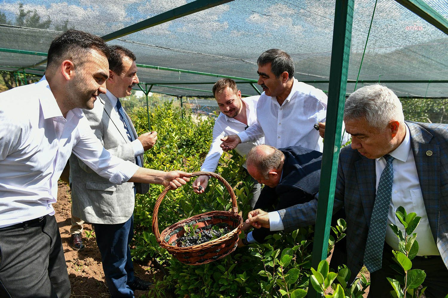 Ankara Büyükşehir Belediyesi yerli üreticiye verdiği destekleri çeşitlendirerek sürdürüyor. Kırsal