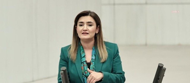 CHP İzmir Milletvekili Sevda Erdan Kılıç, Sedat Peker'in ortaya attığı