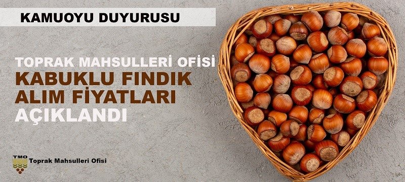 Toprak Mahsulleri Ofisi (TMO) fındık alım fiyatlarını açıkladı. Buna göre