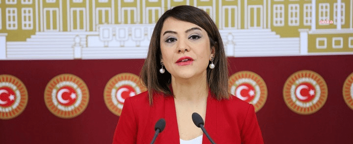 CHP Ankara Milletvekili Gamze Taşcıer, Cumhurbaşkanı Recep Tayyip Erdoğan’ın açıkladığı