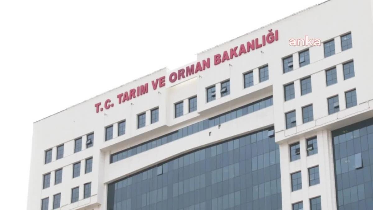 Sayıştay’ın Tarım ve Orman Bakanlığı’nın 2021 yılı denetim raporunda; bakanlığın