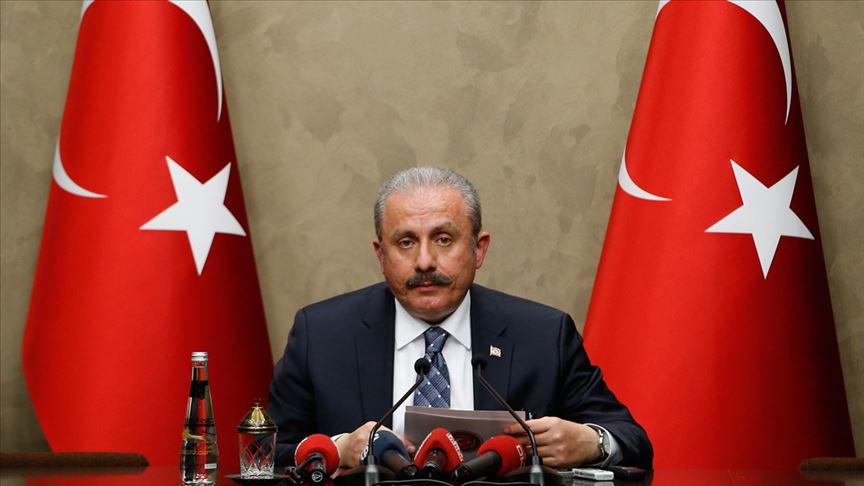TBMM Başkanı Mustafa Şentop, Almanya Federal Meclisi Başkan Yardımcısı Wolfgang