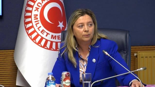 Çağatay Kılıç: “ABD İle Havanın Basında Sesi Olumsuz Çıkanların Yansıtmak İstediği Kadar Olumsuz Olmadığını Gördüm” TBMM Dışişleri Komisyonu Başkanı Çağatay Kılıç, "ABD Kongresi'nde Türkiye'nin siyasi