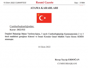 Yasin Ekrem Serim, Disisleri Bakan Yardimcisi Oldu