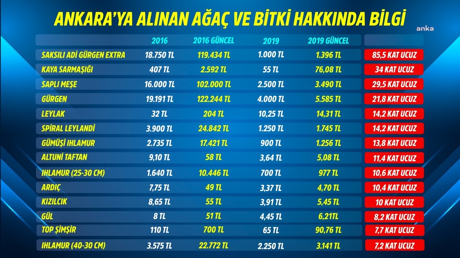 AKP Meclis Üyesi Nihat Yalçın, Ankara Büyükşehir Belediyesi (ABB) Meclisinde