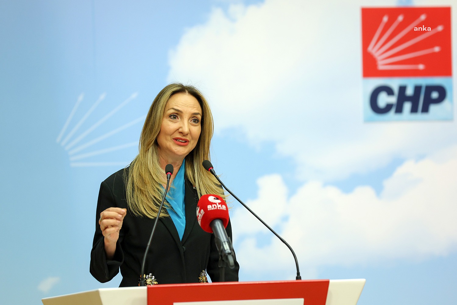 CHP Kadın Kolları Genel Başkanı Aylin Nazlıaka, 25 Kasım Kadına
