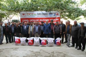 Mersin Buyuksehir'in Destegiyle Atalik Bugday Cesitleri Gelecek Nesillere Aktariliyor