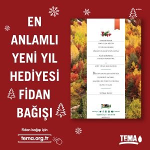 TEMA Vakfi’ndan Yeni Yilda Fidan Bagisi Cagrisi: “Ulkemize Yeni Ormanlar Kazandirmamiz Gerektigini Artik Cok Daha Iyi Biliyoruz”
