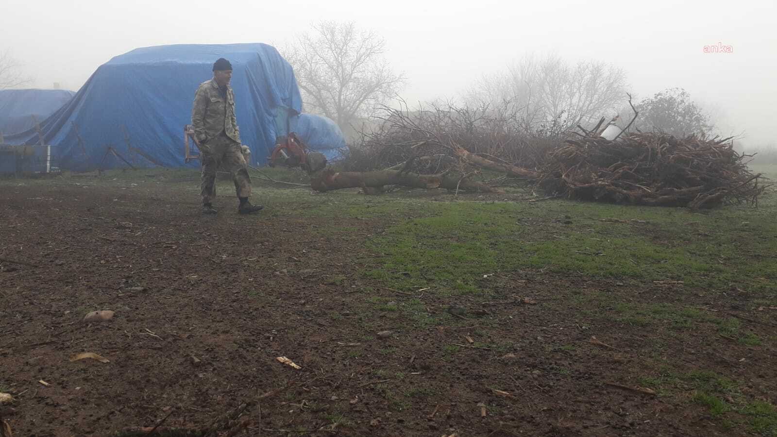 Amasya’nın Taşova ilçesine bağlı Çambükü köyünde mera alanlarına organize sanayi