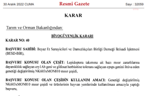 Tarim ve Orman Bakanligi'ndan, GDO'lu Misir Cesidinin Yemlerde Kullanilmasina Onay