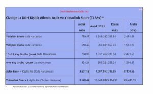 TURK-IS’in Arastirmasina Gore Asgari Ucretli Ilk Maasinda Ac Kalabilir