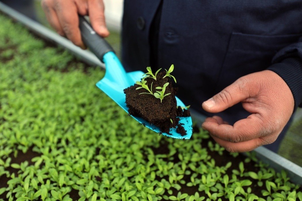 Yenimahalle Belediyesi’nin Yakacık Mesire Alanı içerisine kurduğu 2 bin 300