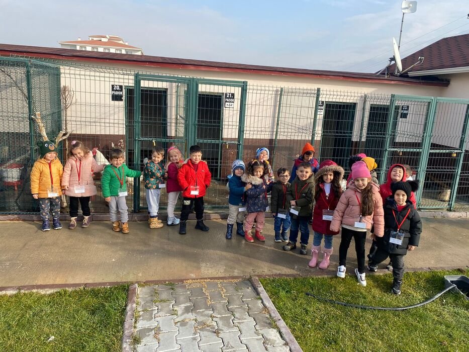 Si̇ncan Sevgi̇ Bahçesi̇nde Can Dostlarımız Sahi̇pleri̇ni̇ Bekli̇yor Sokak hayvanları için kurduğu bakımevi ve rehabilitasyon merkezinin yanında Sevgi