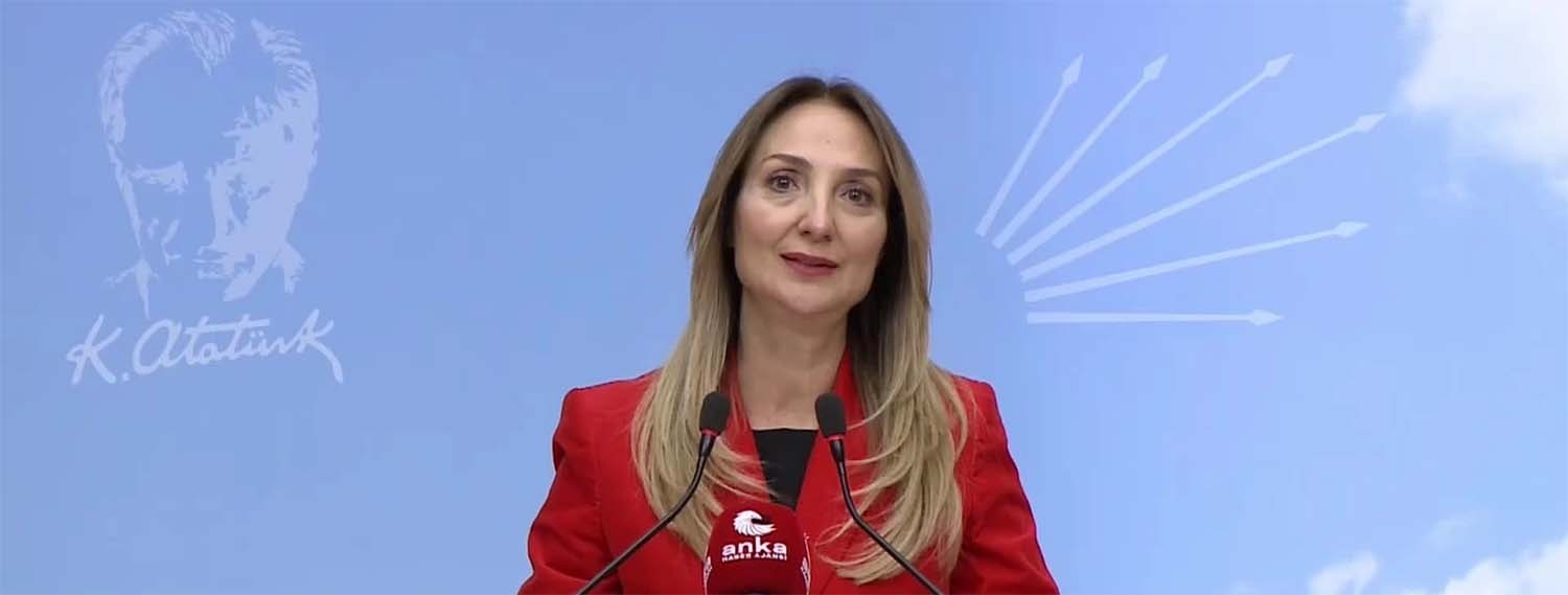 CHP Kadın Kolları Genel Başkanı Aylin Nazlıaka, AKP iktidarının 2022’de