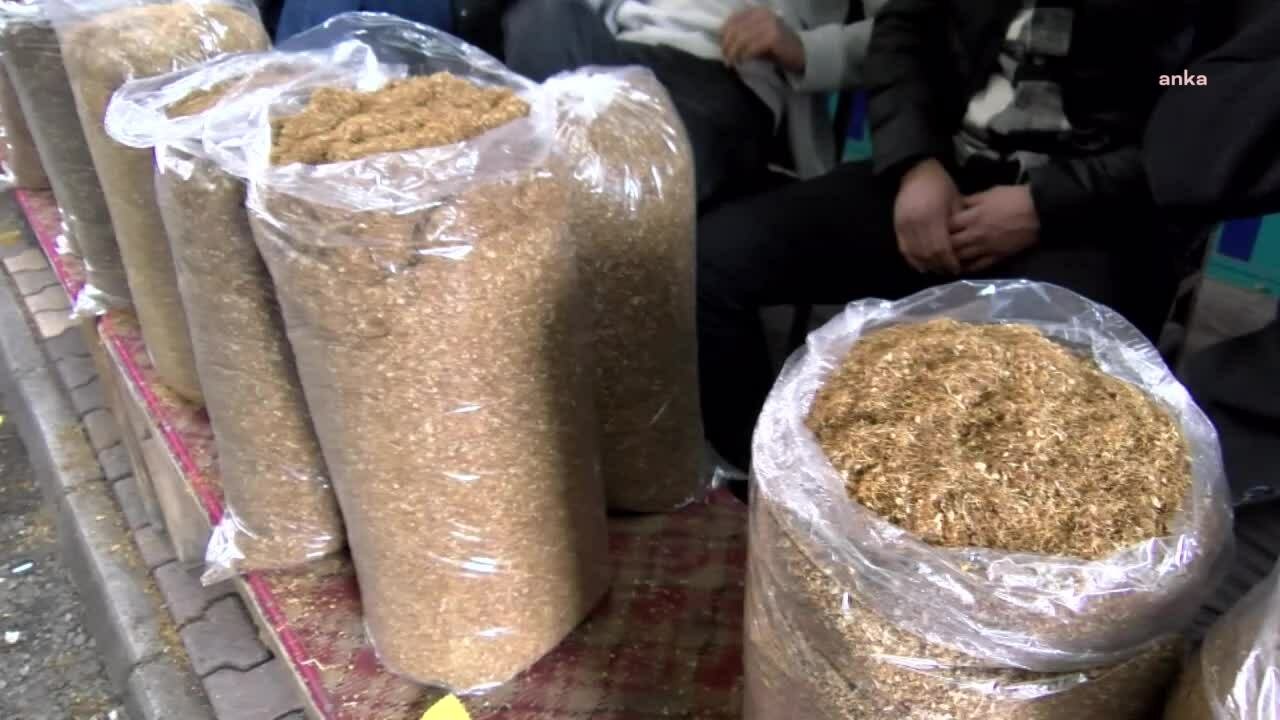 Etil alkol, metanol ve tütün işleme tesisi kurma, faaliyet uygunluk