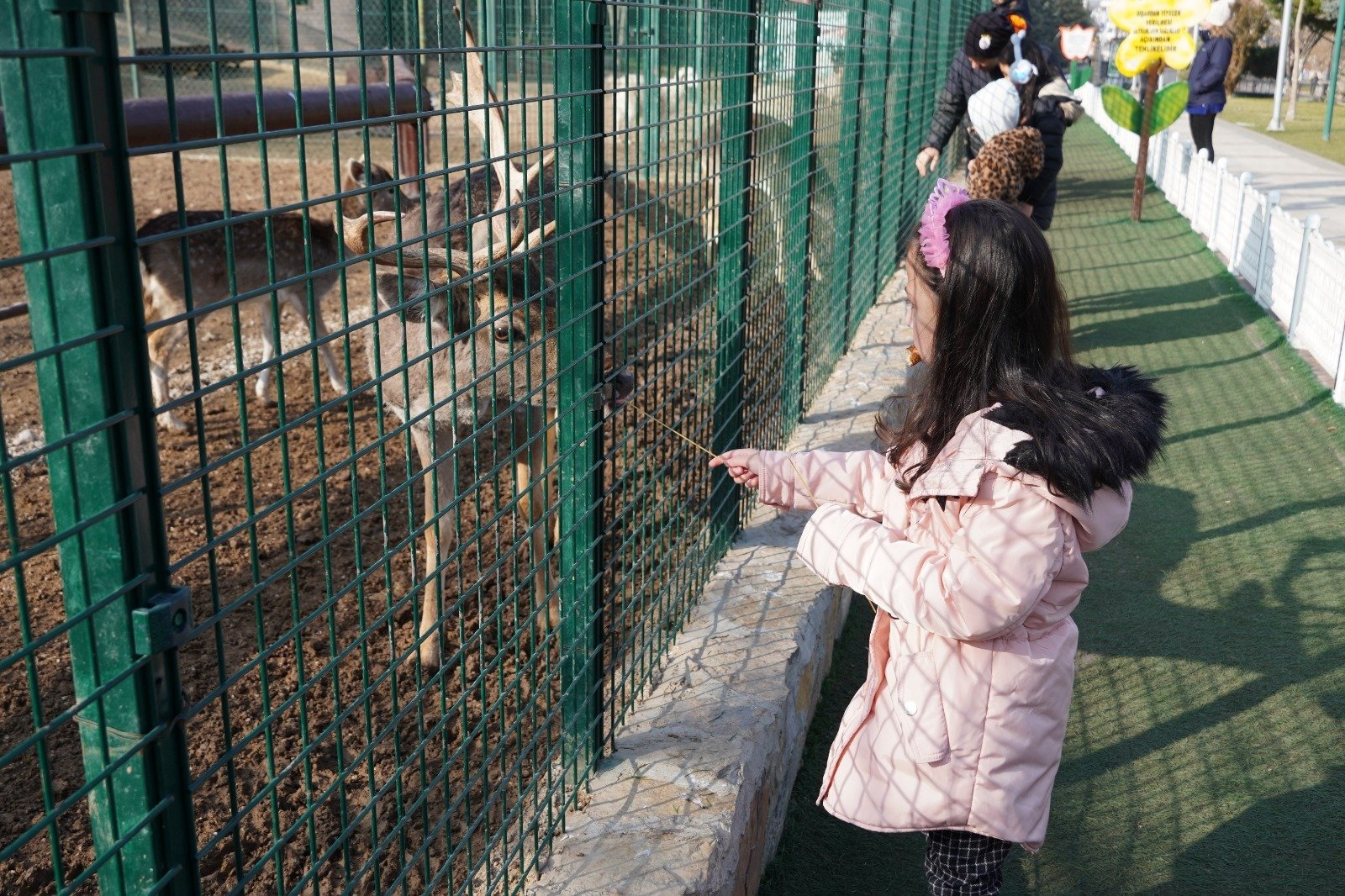 Keçiören Belediyesi Doğal Yaşam Parkı’nın sevimli canlıları kış mevsimi boyunca