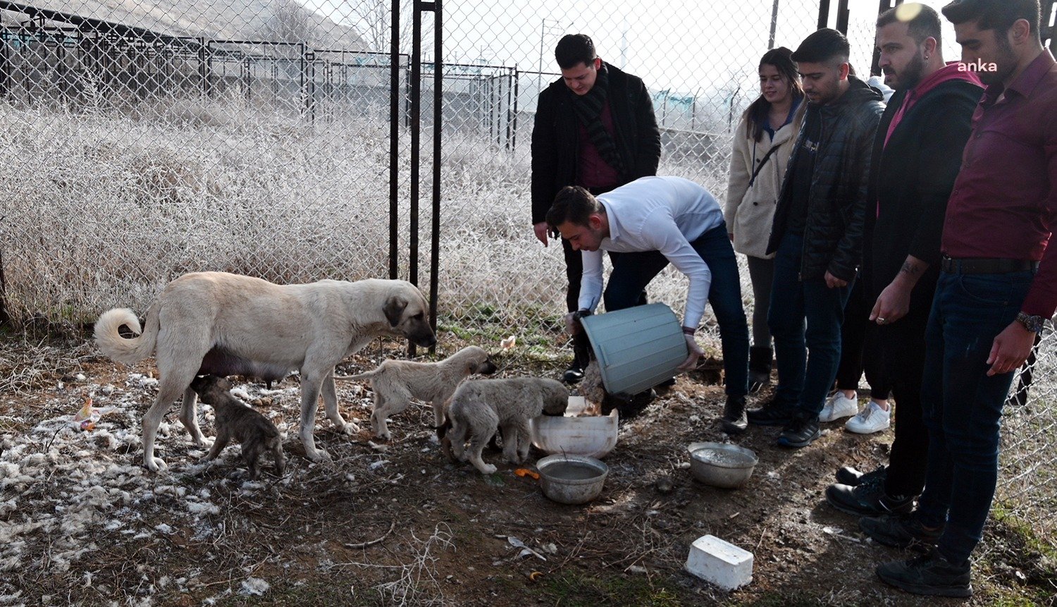 Yozgat Bozok Üniversitesi Şefaatli Meslek Yüksekokulu’nda öğrenim gören bir grup