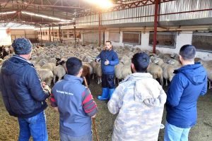 Ankara Buyuksehir’den Besicilere Egitim Destegi