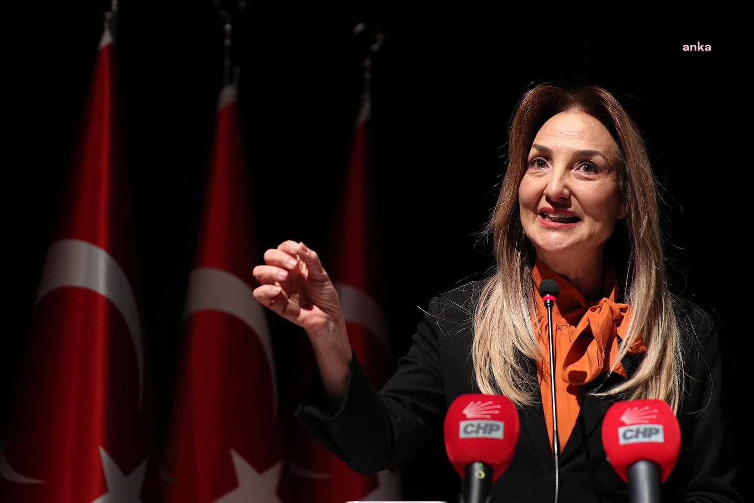 CHP Kadın Kolları Genel Başkanı Aylin Nazlıaka, CHP Genel Başkanı