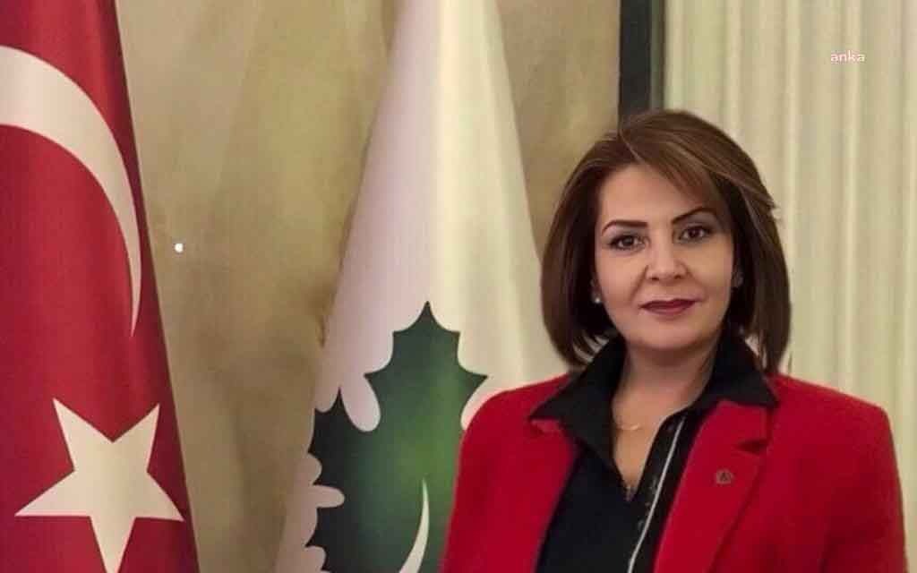 Gelecek Partisi, ‘Çevre ve İklim Değişikliği Gelecek Eylem Modeli'ni açıkladı.