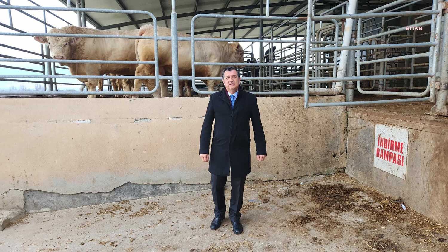 CHP Edirne Milletvekili Okan Gaytancıoğlu, Macaristan’dan ithal edilen beş bin