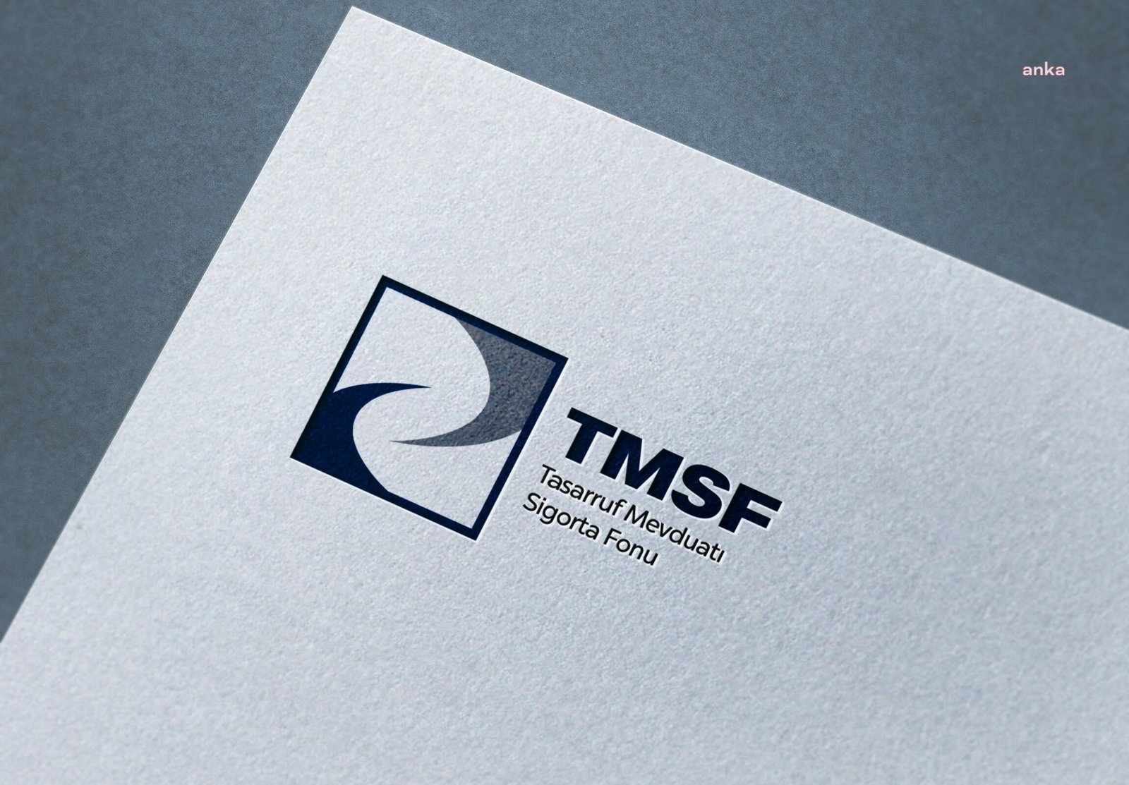 Tasarruf Mevduatı Sigorta Fonu (TMSF), FETÖ/PDY terör örgütü soruşturması kapsamında