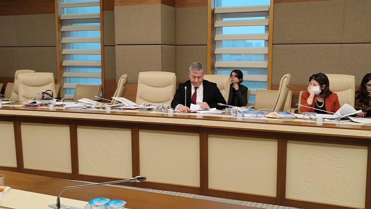 TBMM Çocuk İstismarının Araştırılması Komisyonu’nda söz alan CHP Ankara Milletvekili