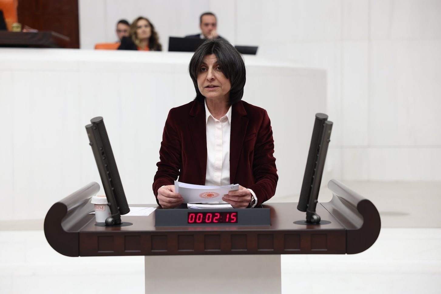 CHP İstanbul Milletvekili Sibel Özdemir, memur ve emekli maaşlarına yüzde