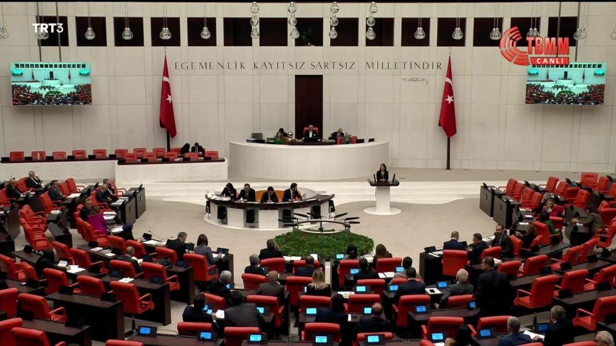 CHP Ankara Milletvekili Gamze Taşcıer, TBMM Genel Kurulu’nda, çocuk istismarına