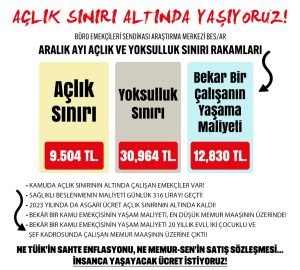 bes-arin-arastirmasina-gore-aralik-ayinda-aciklanan-asgari-ucret-aclik-sinirinin-998-tl-altinda-kaldi
