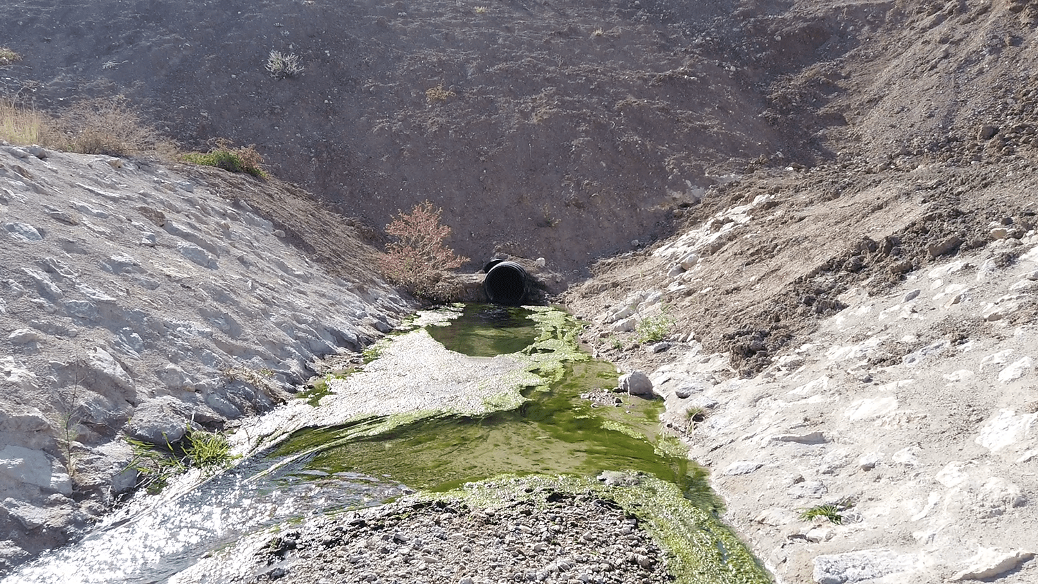 ASKİ, Dere Yatakları ve Ankara Çayı’ndaki Kirliliğe Savaş Açtı ASKİ Genel Müdürlüğü, Ankara Çayı’na bağlanan Dikmen, Hatip, Kepir ve
