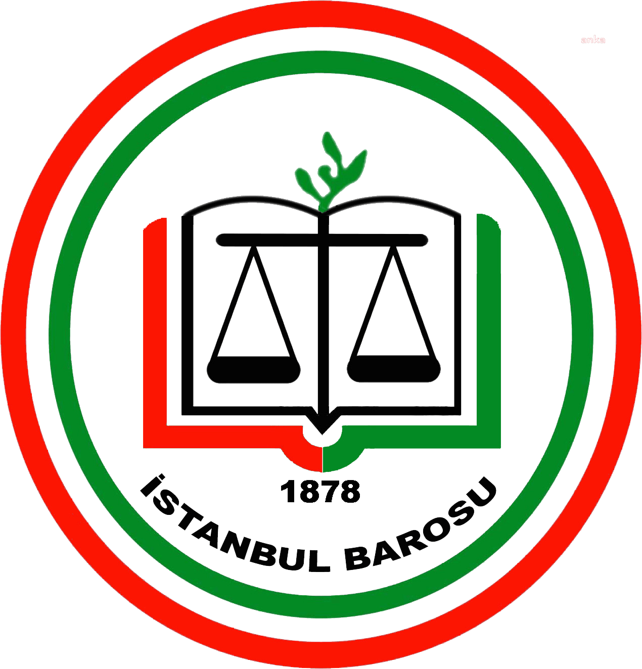 İstanbul Barosu İnsan Hakları Merkezi, Kahramanmaraş merkezli 10 ilde yıkıma