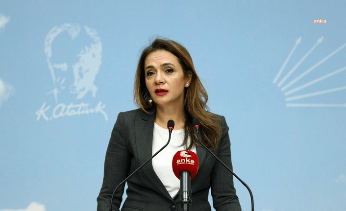 CHP Genel Başkan Yardımcısı Gamze Akkuş İlgezdi ağız ve diş
