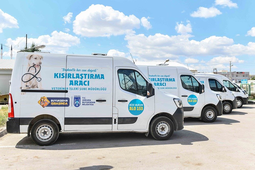 ABB’den Bir Rekor Daha: 2022 Yılında 23 Bin 500 Sokak Hayvanı Kısırlaştırıldı Türkiye’nin en kapsamlı kısırlaştırma seferberliğini başlatan Ankara Büyükşehir Belediyesi 1